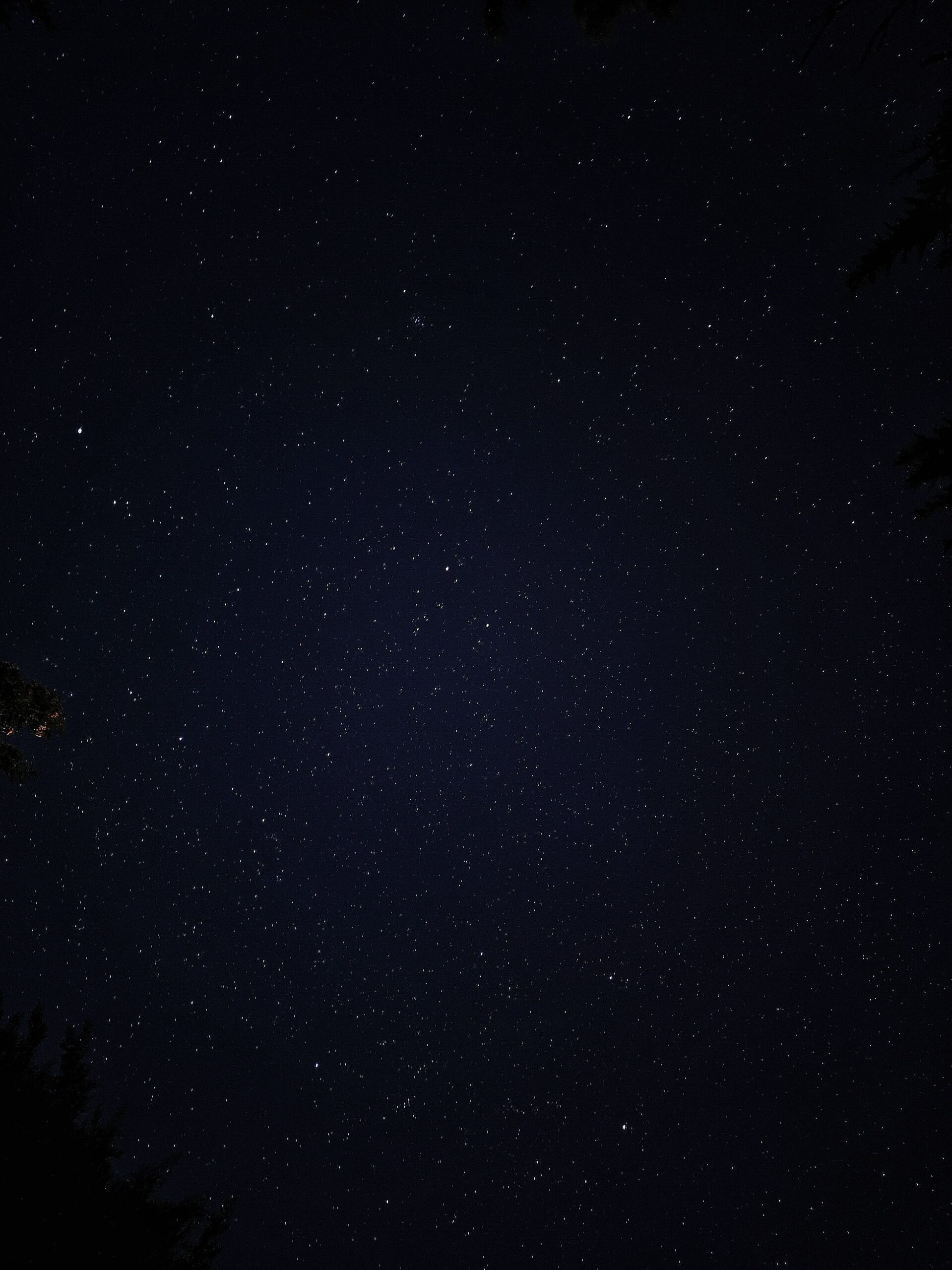 A stunning vertical shot of a starry night sky, perfect for astronomy enthusiasts.